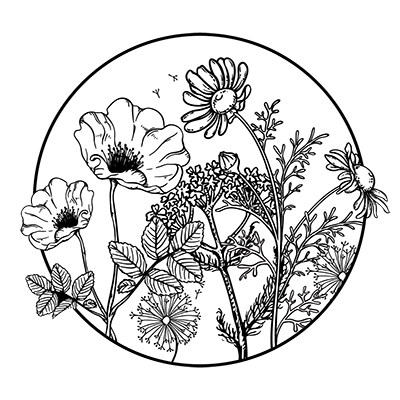 WanderflowerBodyCo-categories_webAssets_WanderWild-icon_400